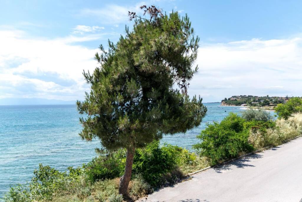 Вілла Endless Sea View House Неа-Іраклія Екстер'єр фото